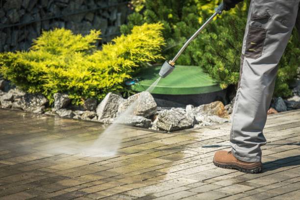 Best Sidewalk and Walkway Pressure Cleaning in Bremen, GA