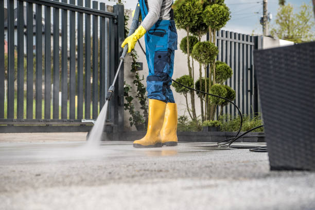 Best Soft Washing for Delicate Surfaces in Bremen, GA